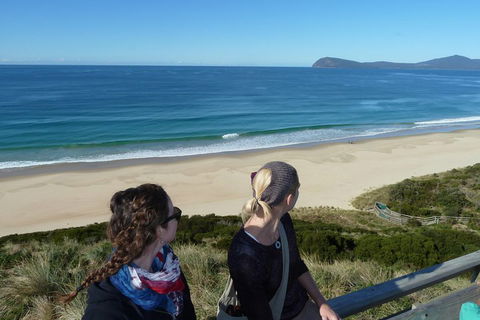 Small-Group Day Trip From Hobart To Bruny Island - Accommodation in Bendigo 3