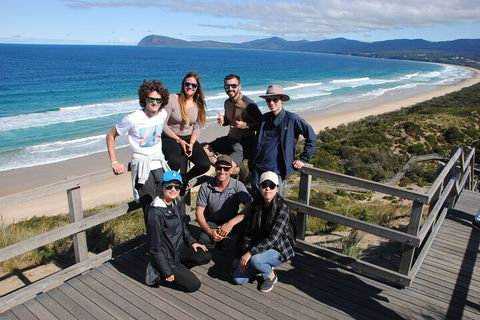 Small-Group Day Trip From Hobart To Bruny Island - Accommodation in Bendigo 4