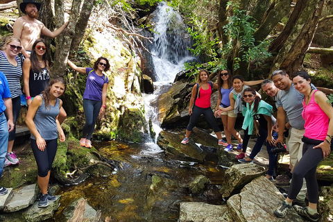 7-Day Super Value Tour Of Tasmania: Explore Tasmania's West And East Coasts - Accommodation in Bendigo 2