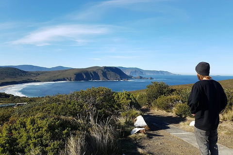 4-Day Fabulous Tasmania Tour: Wineglass Bay, Port Arthur, Devils & Bruny Island - Accommodation in Bendigo 0