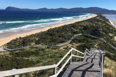 4-Day Fabulous Tasmania Tour: Wineglass Bay, Port Arthur, Devils & Bruny Island - Accommodation in Bendigo 5