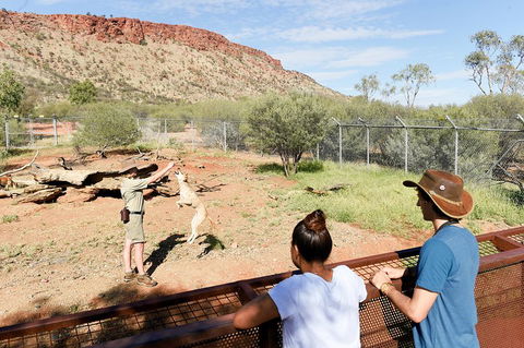 Alice Springs Desert Park General Entry Ticket - Accommodation in Bendigo 4