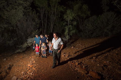 Alice Springs Desert Park Nocturnal Tour - Accommodation in Bendigo 0