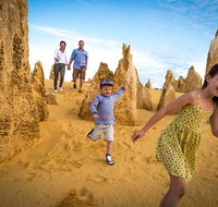 Full-Day Pinnacles Desert and Yanchep National Park Tour From Perth