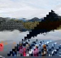 Gordon River Cruise departing from Strahan - Accommodation in Bendigo