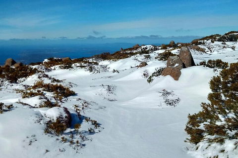 Mount Wellington Ultimate Experience Tour From Hobart - Accommodation in Bendigo 1