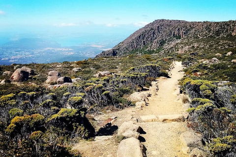Mount Wellington Ultimate Experience Tour From Hobart - Accommodation in Bendigo 5
