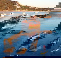 Adventure Moreton Island Wrecks Adventure Package - Accommodation in Bendigo