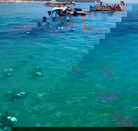 Adventure Moreton Island Scuba Dive Tour - Accommodation in Bendigo