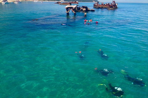 Adventure Moreton Island Scuba Dive Tour - Accommodation in Bendigo 0