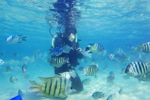 Adventure Moreton Island Scuba Dive Tour - Accommodation in Bendigo 1