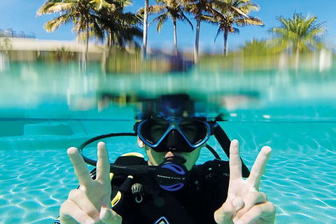 Adventure Moreton Island Scuba Dive Tour - Accommodation in Bendigo 2