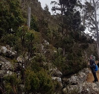 kunanyi / Mt. Wellington Guided Hiking Tour - Accommodation in Bendigo