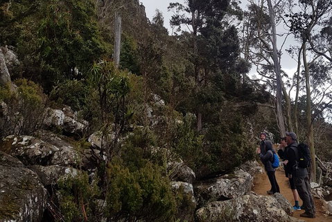 Kunanyi / Mt. Wellington Guided Hiking Tour - Accommodation in Bendigo 0