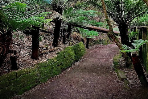 Kunanyi / Mt. Wellington Guided Hiking Tour - Accommodation in Bendigo 1