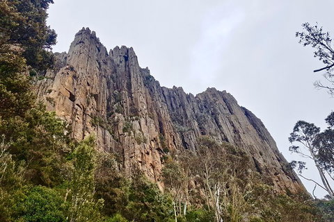 Kunanyi / Mt. Wellington Guided Hiking Tour - Accommodation in Bendigo 4