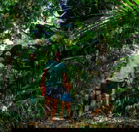 Full Day Daintree Rainforest and Mossman Gorge Tour - Accommodation in Bendigo