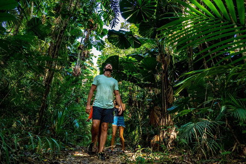 Full Day Daintree Rainforest And Mossman Gorge Tour - Accommodation in Bendigo 0