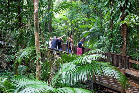 Full Day Daintree Rainforest And Mossman Gorge Tour - Accommodation in Bendigo 1