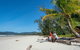 Full Day Daintree Rainforest And Mossman Gorge Tour - thumb 4