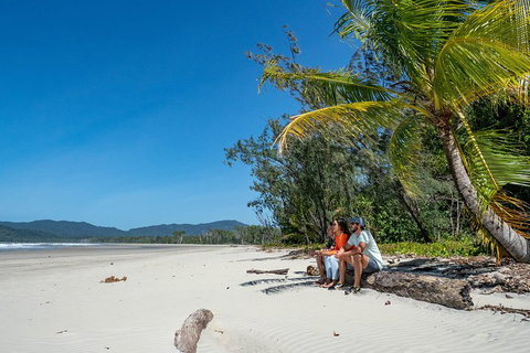 Full Day Daintree Rainforest And Mossman Gorge Tour - Accommodation in Bendigo 4