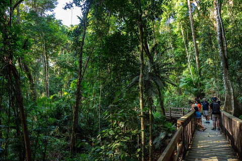 Full Day Daintree Rainforest And Mossman Gorge Tour - Accommodation in Bendigo 5