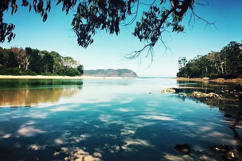 Full-Day Guided Bruny Island Tour From Hobart - Accommodation in Bendigo 1