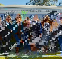 Full Day Mount Tamborine Winery Tour from Gold Coast - Accommodation in Bendigo