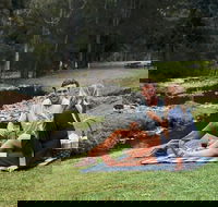 Mt Tamborine - Hinterland Wonders Self Guided - Accommodation in Bendigo