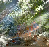 Mossman Gorge Adventure Day - Accommodation in Bendigo