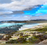 Kangaroo Island Luxury Small Group 'East End Explorer' Full Day Tour - Accommodation in Bendigo