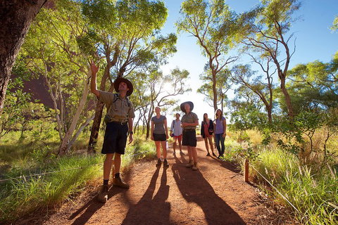 Uluru Small Group Tour Including Sunset - Accommodation in Bendigo 0