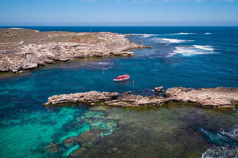 Adventure Rottnest Tour With Ferry & Adventure Cruise From Perth Or Fremantle - Accommodation in Bendigo 3