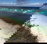 Experience Rottnest with Ferry  Bike Hire from Perth or Fremantle - Accommodation in Bendigo