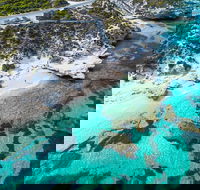 Rottnest Island Round-Trip Ferry from Perth or Fremantle - Accommodation in Bendigo