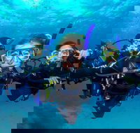 Great Barrier Reef Diving and Snorkeling Cruise from Cairns - Accommodation in Bendigo