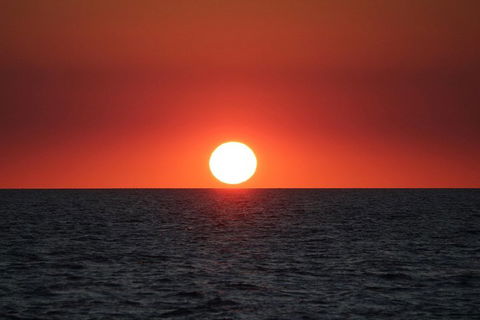 Roebuck Bay Snubfin Dolphin Cruise - Accommodation in Bendigo 3