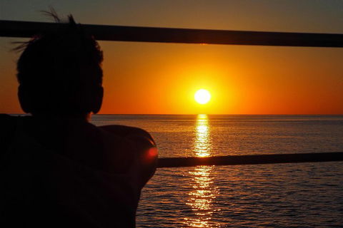 Roebuck Bay Snubfin Dolphin Cruise - Accommodation in Bendigo 4