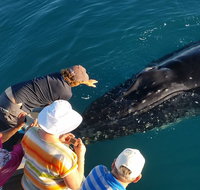 AOC Whale Watching from Broome