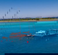 Ocean Free Green Island  Great Barrier Reef Snorkel Cruise Cairns 25 guests - Accommodation in Bendigo