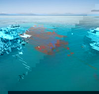 Ocean Freedom Great Barrier Reef Personal Luxury Snorkel  Dive Cruise Cairns - Accommodation in Bendigo