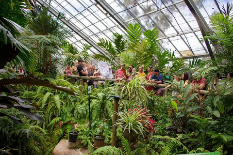 Australian Butterfly Sanctuary - Accommodation in Bendigo 0