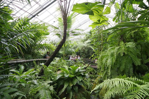 Australian Butterfly Sanctuary - Accommodation in Bendigo 3