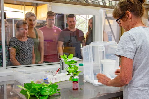 Australian Butterfly Sanctuary - Accommodation in Bendigo 5