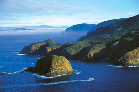 3-Hour Bruny Island Cruise From Adventure Bay, Bruny Island - Accommodation in Bendigo 1