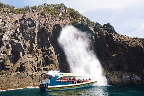 3-Hour Bruny Island Cruise From Adventure Bay, Bruny Island - Accommodation in Bendigo 5