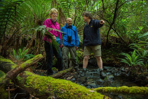 Bruny Island Traveller - Gourmet Tasting And Sightseeing Day Trip From Hobart - Accommodation in Bendigo 1