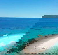 Ocean Safari Great Barrier Reef Experience in Cape Tribulation - Accommodation in Bendigo