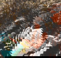 Springbrook andTamborine Rainforest Tour Incl Natural Bridge and Glow Worm Cave - Accommodation in Bendigo