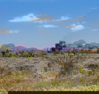 Overnight Uluru Ayers Rock Small-Group Camping Tour - Accommodation in Bendigo